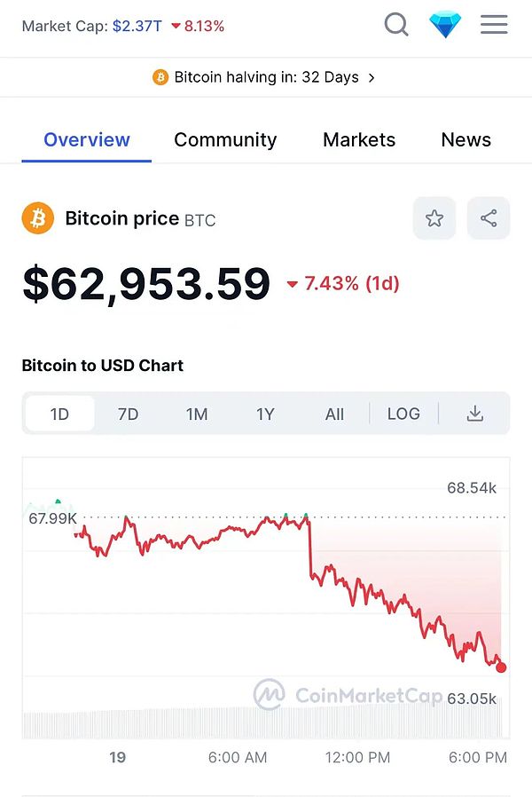 想让你的暴躁鹅成为艺术圈的网红吗？