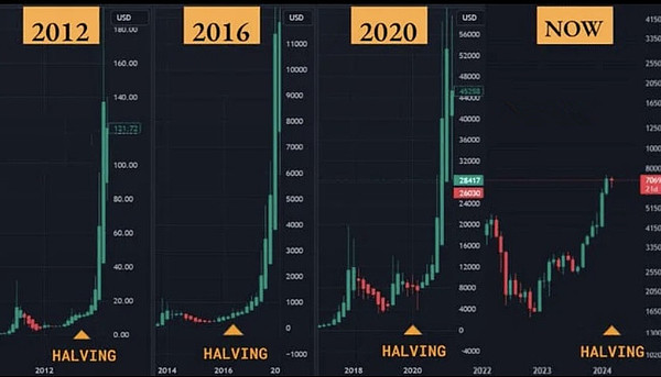 11月不容错过的四大加密新星项目