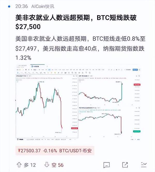 当狗狗币遇上减半行情：市场狂欢还是泡沫前兆？